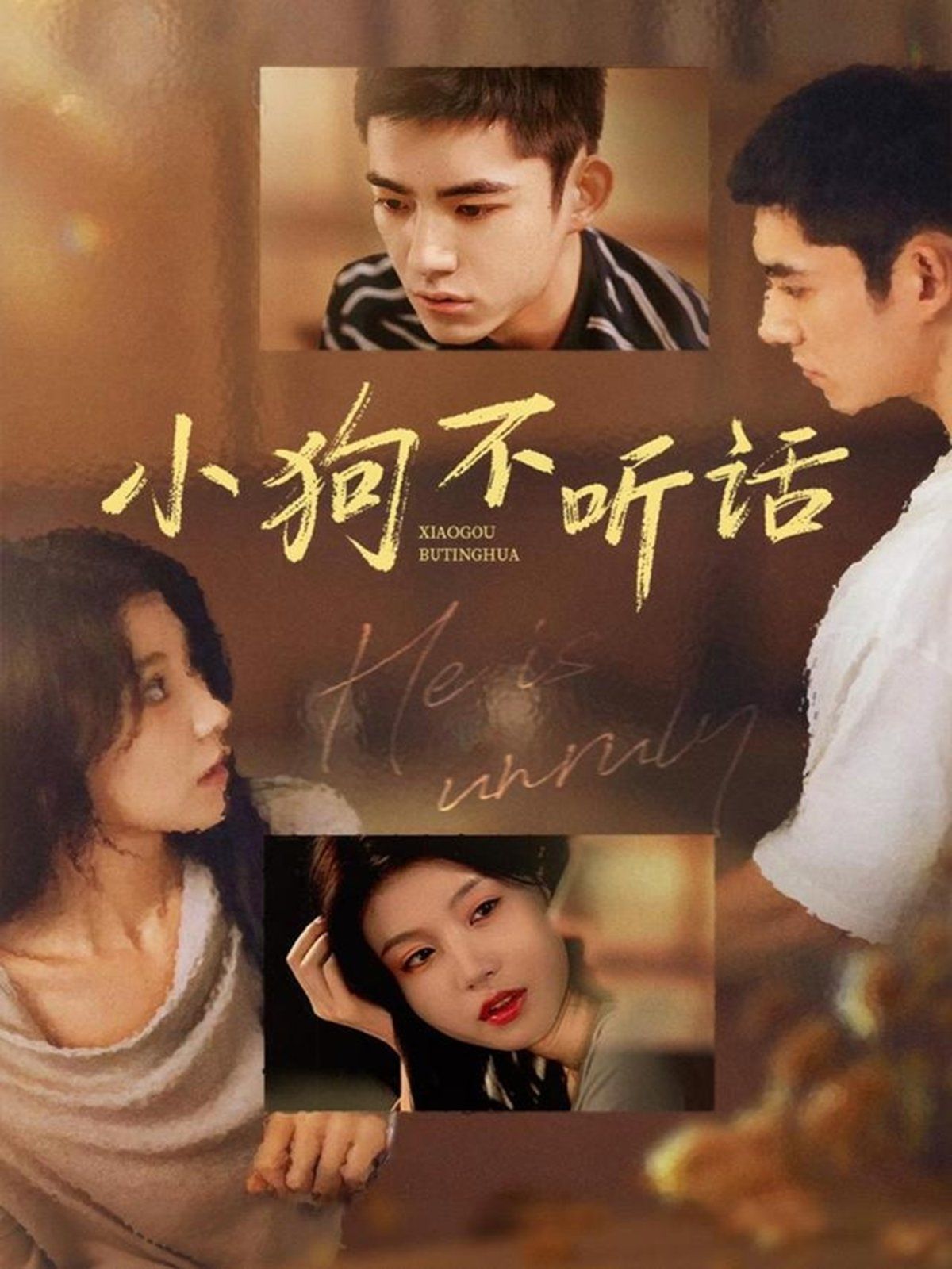 小狗不听话深度影评