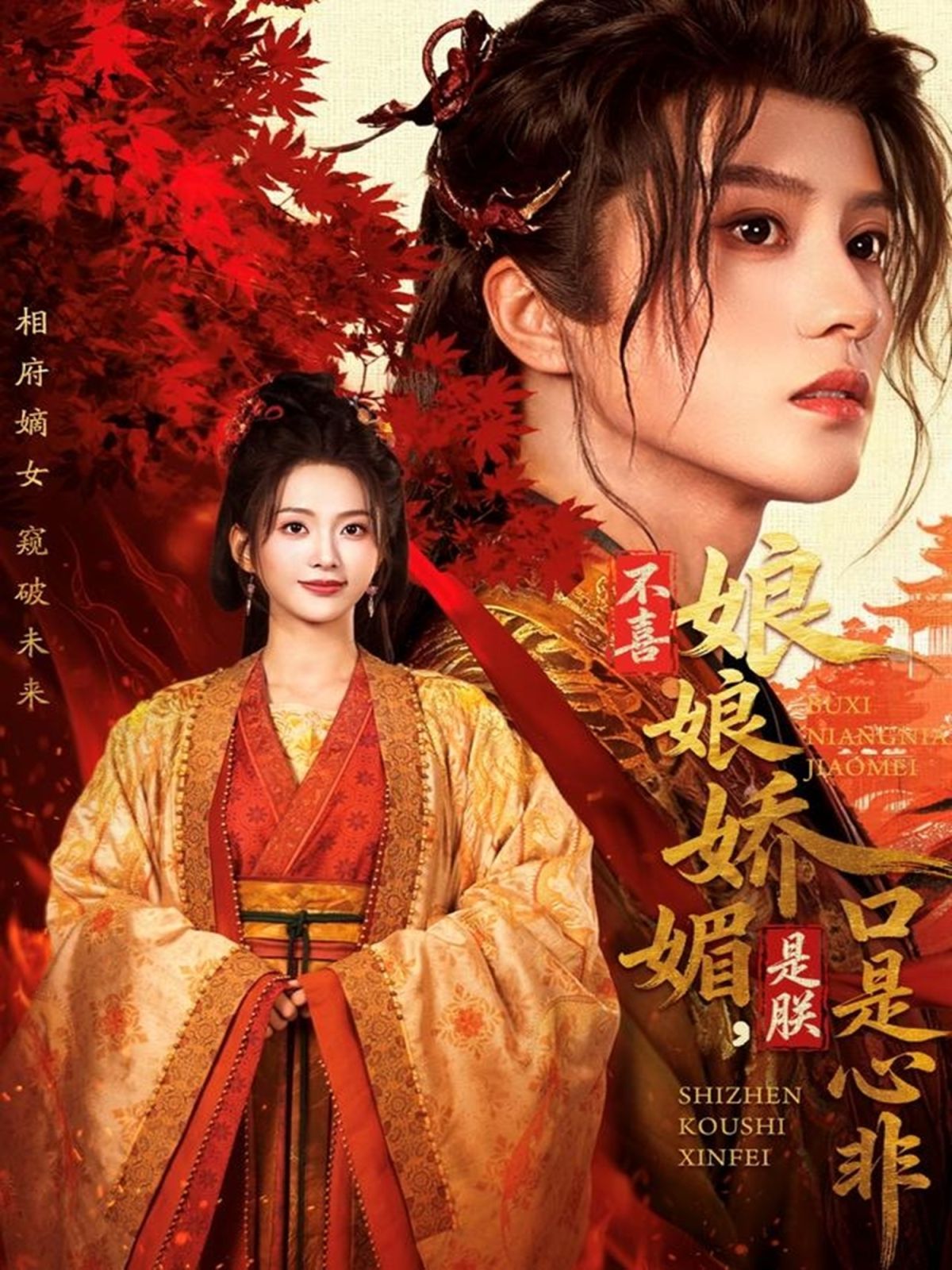 不喜娘娘娇媚，是朕口是心非深度影评