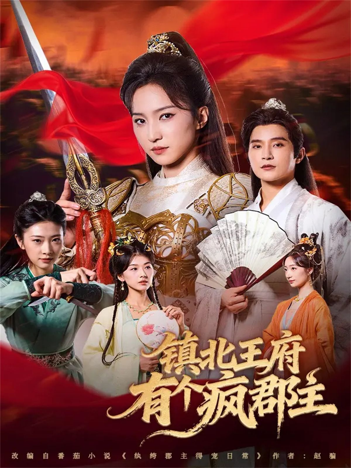 镇北王府有个疯郡主深度影评