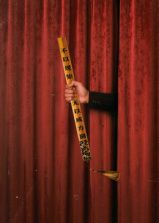 进步班深度影评