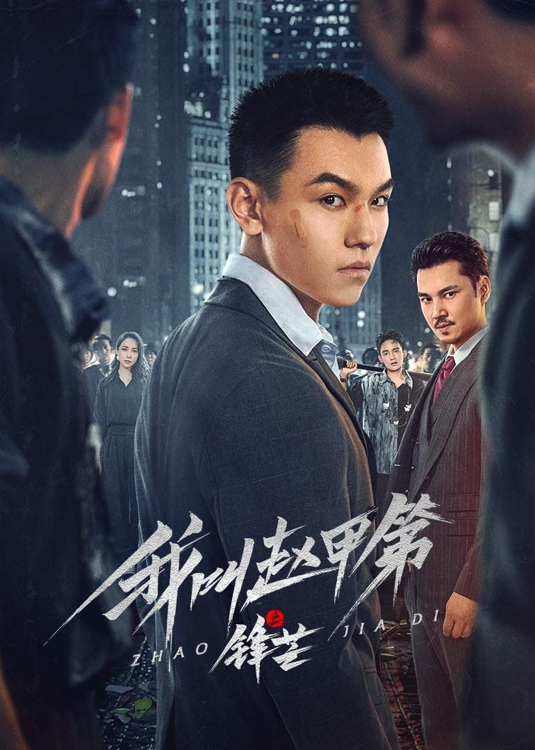 我叫赵甲第之锋芒深度影评