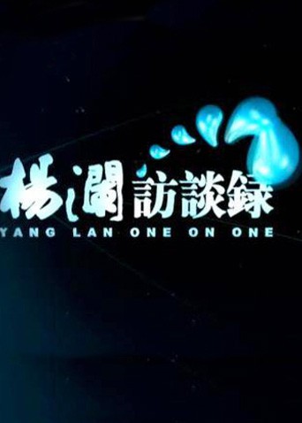 杨澜访谈录2014图文影评