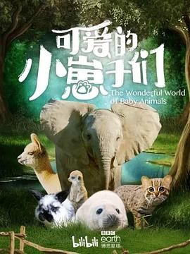 可爱的小崽子们图文影评