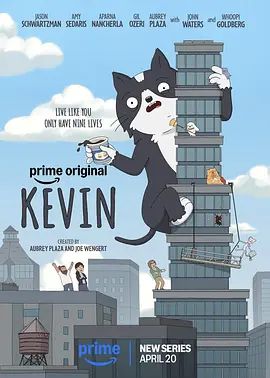 小猫凯文图文影评