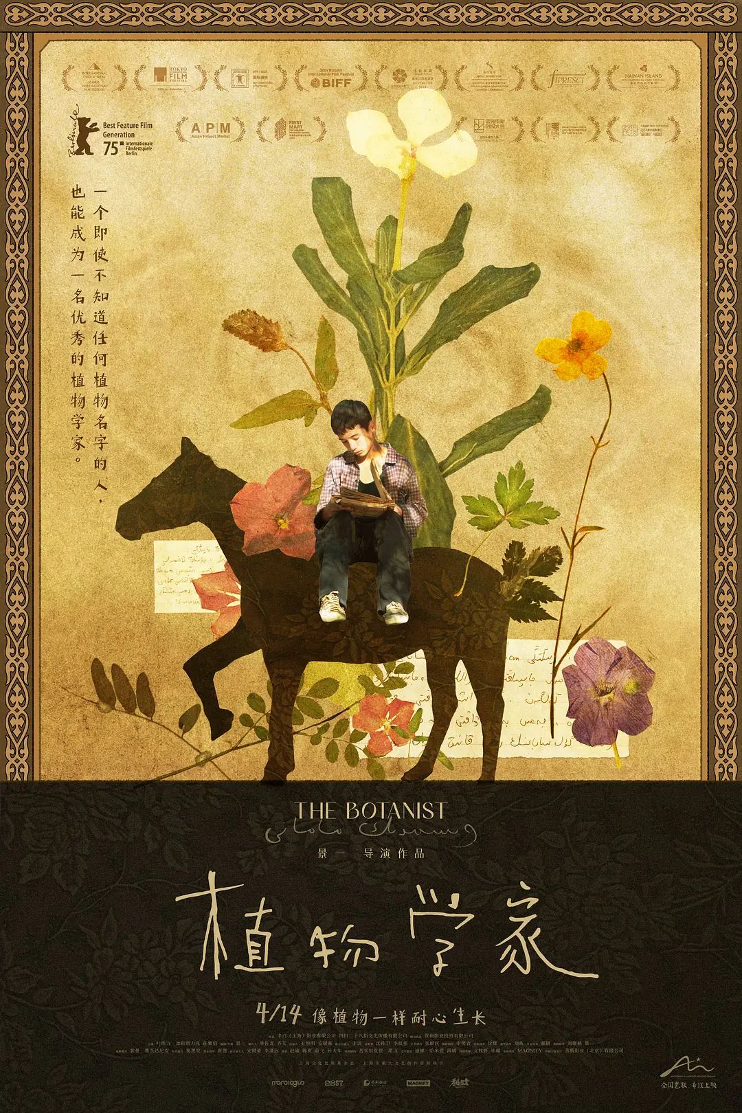 植物学家影评 | MOVIE解析