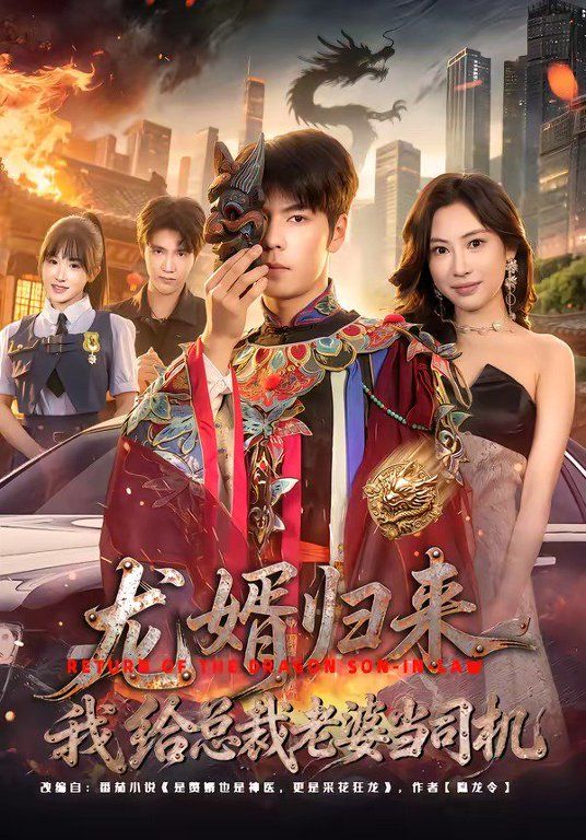 龙婿归来，我给总裁老婆当司机影评 | MOVIE解析